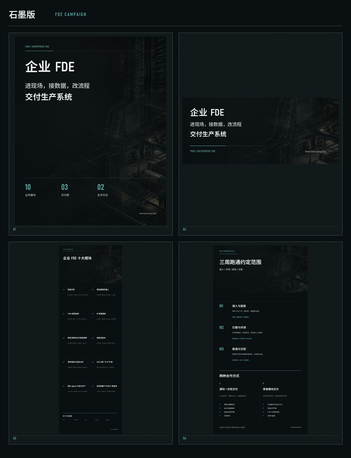 石墨版企业 FDE 整套物料预览
